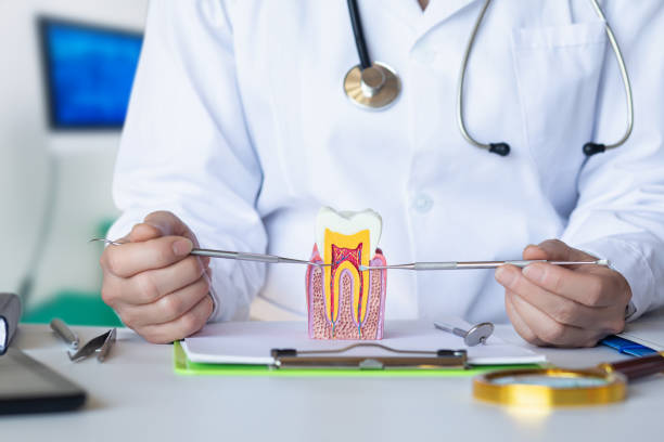 Best Tooth Pain Emergency Relief  in Bono, AR